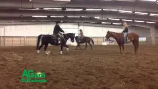 Horsing Around - Lee Hart
