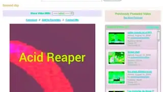 Dead Katasumi - Acid Reaper | Official Visualizer Music Video