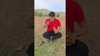 Fun interesting HD 4K 8K #comedy #funny #shorts #youtubeshorts