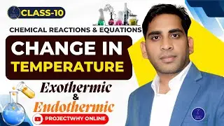 🔥What's the REAL Science Behind Temperature Changes in Chemistry