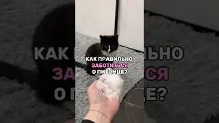 Ты точно хороший хозяин 💜Корм на вб #ww225843 ✨