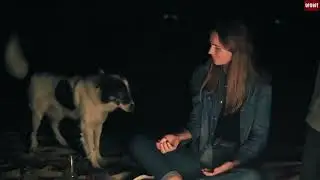 #jawdroppingfacts  Food your dog should not eat#dogloverssvideo#funnydogs#doglover#trending1  