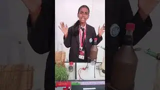 Experimental-Phyziks: Hands-On Physics Experiments & Science Explained