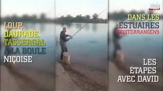Daurade, loup et tassergal à la boule niçoise (montage, appâts, postes)