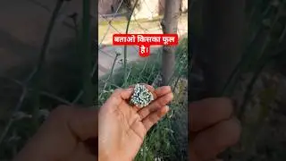 #ytshorts #reels #farming #food #cooking #kishan #nature #dailyshorts #virulshorts #villagelife
