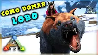 Como Domar LOBO (Direwolf)  no ARK: SURVIVAL EVOLVED!