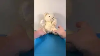 Vintage Eden Toys wind up teddy bear plush