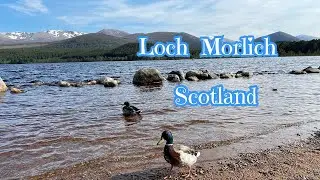 Loch Morlich # Aviemore - Scotland# Scottish highland #Fresh water loch# sandy beach.