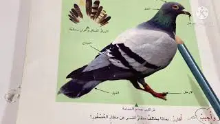 الحيوانات المركبة .علوم الصف الرابع الابتدائي ص ٤٤مع حل الاسئلة .ست مريم
