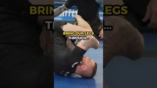 4 обратных приема DLR, которые вы ОБЯЗАНЫ знать❗🔥 #bjj #бразильскоеджиуджитсу #джиуджитсу