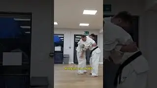 🤔 Muchimi NO es lo mismo que Tegumi (y aqu&iacute; est&aacute; la raz&oacute;n)