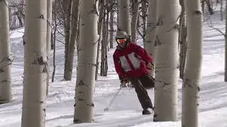 Amputee Goes Skiing Through a Forest - 1284957-8