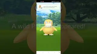 Backlog Field Research Quest and Shiny Check 43/05 🔎🦆