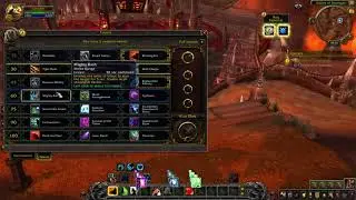 Bear Tank Talents Bfa Beta
