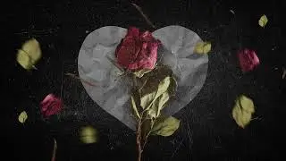 Karie x Soundboy - After VDay 🥀