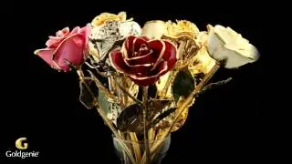 Gold Valentine's Day Roses video [Goldgenie]