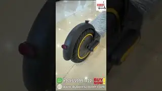 MAX1 Electric Scooter &ndash; 350W Motor, 36V Battery, Bluetooth App, 10-inch Tyres
