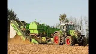 Arrachage de PDT | Fendt 828 Vario & AVR Spirit 8200