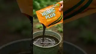 #GoodSoilNourish the soil before nurturing the plants.