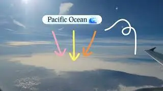 Parallel Landing! LAX to DEN Flight Experience