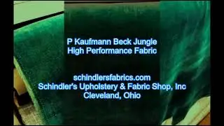 P Kaufmann Beck Jungle High Performance Fabric