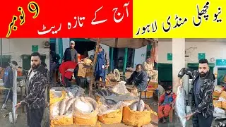 New Fish Market Lahore Today&rsquo;s Fresh Rates | 9 November 2025 Big Wholesale Update