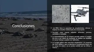 13.  Sergio Curso Forogrametria Online