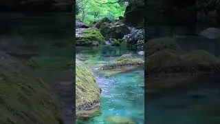 🎹 Healing Piano Music with Flowing Water #music #sleepmusic