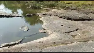 kamwari river bank vishwabharti mill