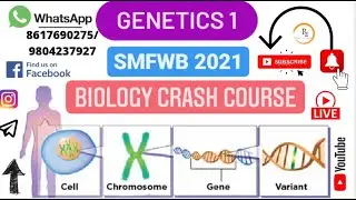 GENETICS 1 || BIOLOGY CRASH COURSE || SMFWB 2021