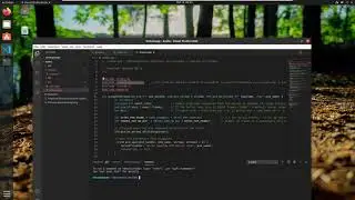 Linux Audio (ALSA)