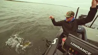 Goldeneye Swimmerhead TW version