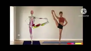 3d animation yoga #short