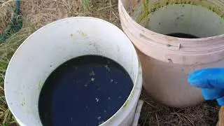 pt 2 stockpot 1