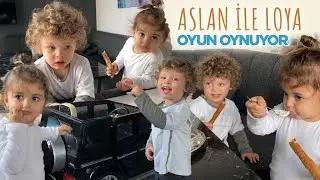 Aslan ile Loya Oyun Oynuyor 🦁