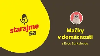 Starajme sa | Mačky: Mačky v domácnosti