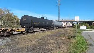 Q439 and Q372 at Elsmere juntion