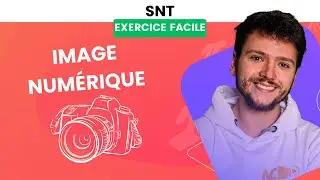 L'IMAGE NUMÉRIQUE - Exercice FACILE de SNT 2nde