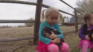The CUTEners: The Great Chicken Adventure (Episode 2)