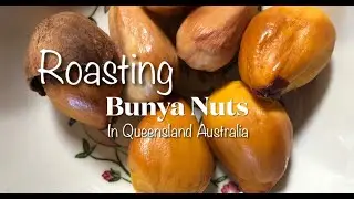 Roasting Bunya Nuts