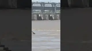 sukkur barrage | Flood Indus River Update | Sindh Flood Alert | Sukkur Barrage at High Risk | Update