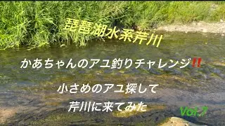 かあちゃんのアユ釣りチャレンジ‼️小さめのアユ探して芹川に来てみたVol.7#琵琶湖アユ釣り 