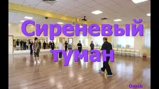 Сиреневый туман  Мастер класс для начинающих  Твс соло 3  Омск! Lariva Dance  12 11 2024 г