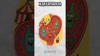 тгк gsnbrg 🤫 #алкоголь #бар #водка #коктейль #alcohol