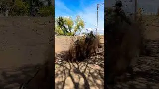 10 ways to blow up gophers  #varmitgetter #jazz #gopher #philyp #fyp #squirrelwatching