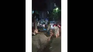 Night Cycle Ride Vlog 🚴&zwj;♂️ | Hatirpool to Shantibagh | Dhaka City Nightlife #dhaka #cycle #cycleride