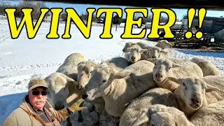 Снежный апокалипсис!!!