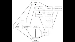 Autoimmune Illness and Mental Health Interview