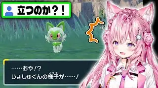 【ポケモンSV】ニャオハを進化させたこよりの反応【博衣こより/ホロライブ切り抜き】