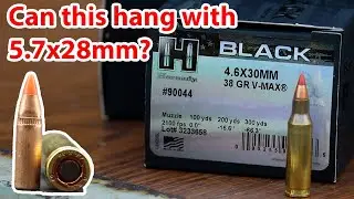 4,6x30 мм HK, 38 гран Vmax Hornady Black (90044)